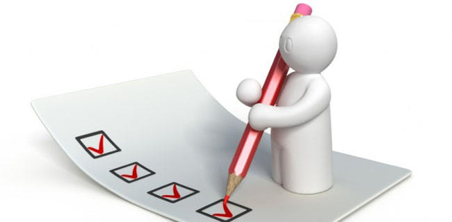 Survey Mini